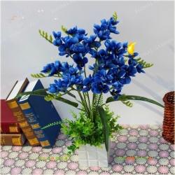 Nasiona Frezja ogrodowa mix szt.3 Nxx463