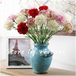 Nasiona Goździk ogrodowy czerwony  szt.5 Nxx471