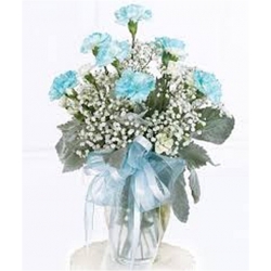 Nasiona Goździk ogrodowy niebieski szt.5 Nxx538