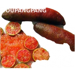 Nasiona Granat właściwy Pink Finger granatowiec właściwy pomegranate szt.5 N373