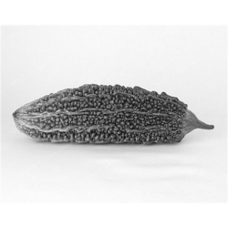 Nasiona Gurda Black Pearl warzywo tykwa jadalna pełna witamin szt.3 N525
