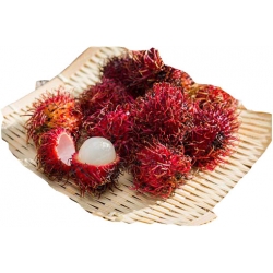 Nasiona Jagodzian Rambutan bardzo smaczne szt.3 N546