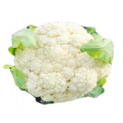 Nasiona Kalafior biały brokuł kapusta warzywna szt.5 N348