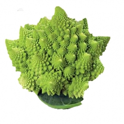 Nasiona Kalafior mix szt.5 N36