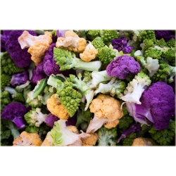 Nasiona Kalafior mix szt.5 Nxx36