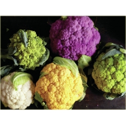 Nasiona Kalafior mix szt.5 Nxx36