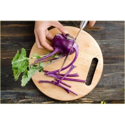 Nasiona Kalarepa duża fioletowa szt.5 Nxx477