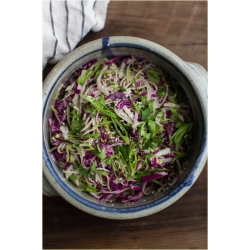 Nasiona Kalarepa duża fioletowa szt.5 Nxx477