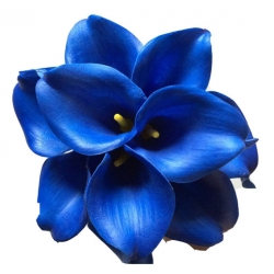 Nasiona Kalijka niebieska szt.5 N150