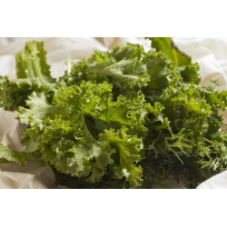 Nasiona Kapusta sitowata Musztarda żółta szt.5 Nxx697