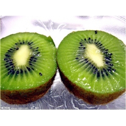 Nasiona Kiwi mini jadalne szt.5 Nxx142