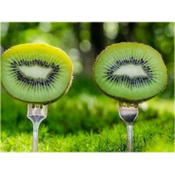 Nasiona Kiwi prawdziwe ziel jadalne szt.5 Nxx452