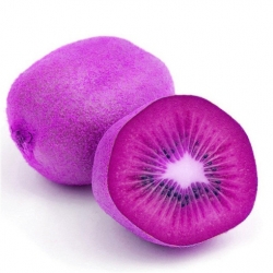 Nasiona Kiwi purpurowe serce szt.5 Nxx144
