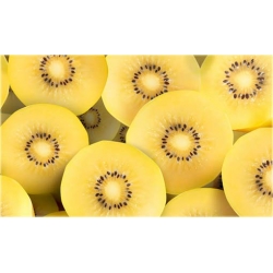 Nasiona Kiwi żółte szt.5 Nxx301