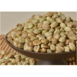 Nasiona Konopie siewne szt.5 Nxx112