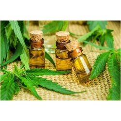 Nasiona Konopie zielone szt.5 Nxx330