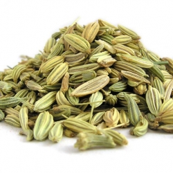 Nasiona Koper włoski fenkuł szt.20 Nxx721