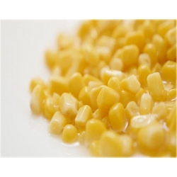 Nasiona Kukurydza żółta super słodka szt.4 N578