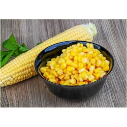 Nasiona Kukurydza żółta słodka szt.4 Nxx578