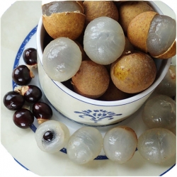 Nasiona Longan jadalny Smocze oko krewniak liczi niezwykle smaczny szt.2 N531