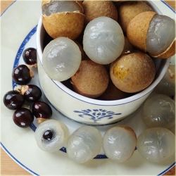 Nasiona Longan jadalny Smocze oko szt.2 Nxx531