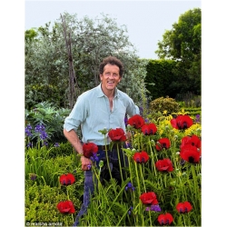 Nasiona Mak czerwony ogrodowy szt.5 Nxx561