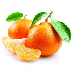 Nasiona Mandarynka szt.5 Nxx249