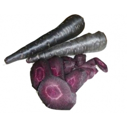 Nasiona Marchew fioletowa szt.5 N34