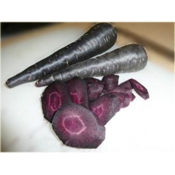 Nasiona Marchew fiolet szt.5 Nxx34