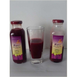 Nasiona Marchew fiolet szt.5 Nxx34