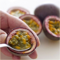 Nasiona Męczennica Passion szt.5 Nxx181