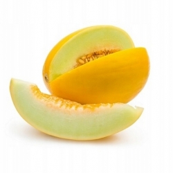 Nasiona Melon słodki Jumbo szt.5 Nxx653