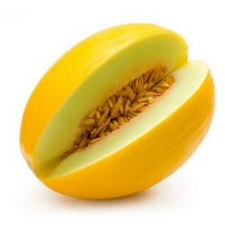 Nasiona Melon słodki Jumbo szt.5 Nxx653