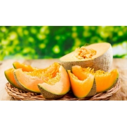 Nasiona Melon słodki Jumbo szt.5 Nxx653
