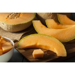 Nasiona Melon słodki Jumbo szt.5 Nxx653