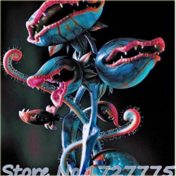 Nasiona Muchołówka bordowa szt.10 Nxx365