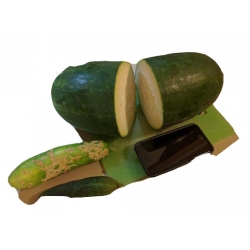 Nasiona Ogórek Gigant szt.5 N294