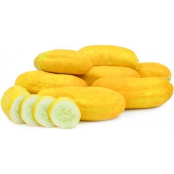 Nasiona Ogórek żółty szt.5 Nxx281