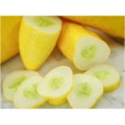 Nasiona Ogórek żółty szt.5 Nxx281