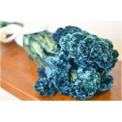 Nasiona Ogromny Zarozumialec szt.5 Nxx315