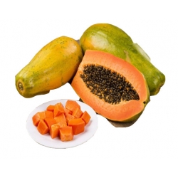 Nasiona Papaja Krasnolud szt.5 N378