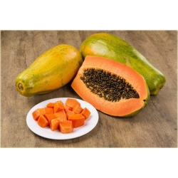 Nasiona Papaja Krasnolud szt.5 Nxx378