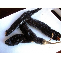 Nasiona Papryka czarna NO-GMO szt.5 Nxx500