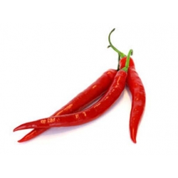 Nasiona Papryka długa Red Chilli  szt.5 Nxx307