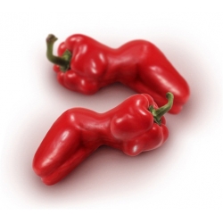 Nasiona Papryka kobieta Sexy szt.5 Nxx547