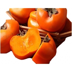 Nasiona Persymona owoc kaki szt.5 N277