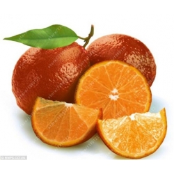 Nasiona Pomarańcza czerwona szt.5 Nxx160