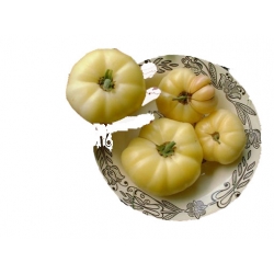 Nasiona Pomidor biały San Marzano szt.5 N475