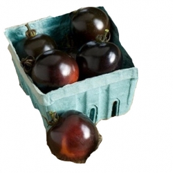 Nasiona Pomidor czarny koktajl szt.5 N28