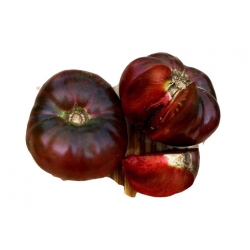 Nasiona Pomidor Książę szt.5 N45